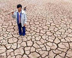 Северной Корее грозит голод из-за неурожая 