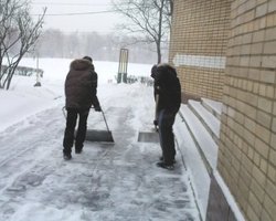 У Черновецкого говорят, что студенты сами попросились на уборку снега