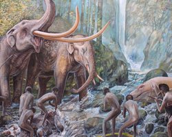 Вижили та адаптувалися: вчені виявили раніше невідомий людський рід у Північно-Східній Азії (фото)