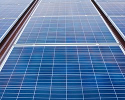 Сонячні панелі виявились шкідливими: вчені дослідили, коли вони стають небезпечними