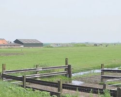 В Запорожье суд постановил, что на огороде маску можно не надевать