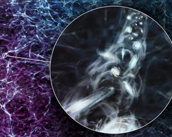 Обнаружена одна из самых больших структур во Вселенной: вращается с огромной скоростью