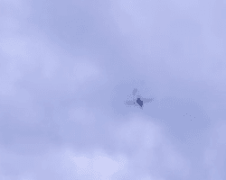 Местные говорят о "10 прилетах": район "Саваслейки" атаковал рой БПЛА (видео)