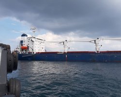 Первый сухогруз с украинским зерном прошел досмотр в Стамбуле (фото)