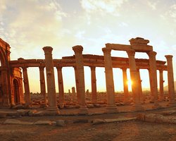 Самые известные памятники Пальмиры разрушены, – власти Сирии