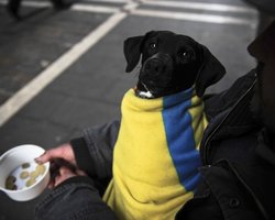 Минфин заявил о возможном урезании госбюджета