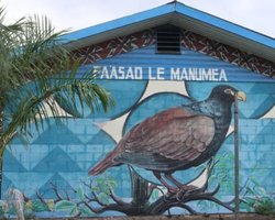 Впервые за 12 лет был обнаружен исчезающий родственник вымершей птицы додо (фото)