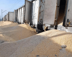 Достигли исторического максимума: Польша нарастила торговлю с РФ в конце 2023-го (инфографика)