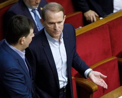 Земельні ділянки та 126 авто: майно родичів Медведчука та Козака заарештували (фото)