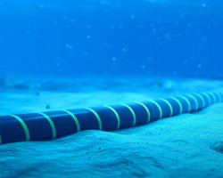 Пошкодження кабелю в Балтійському морі: китайський капітан не визнав себе винним