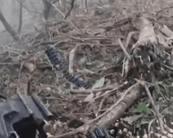 Дошло до рукопашных схваток: пограничники рассказали подробности штурма Андреевки (видео)