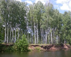 Красивая страна. Семь секретов Сиверщины