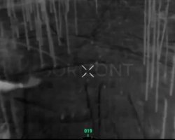 Сова збила російський дрон у Донецькій області (відео)