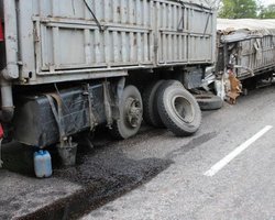 В Запорожье возросло число жертв ДТП: милиция возбудила дело