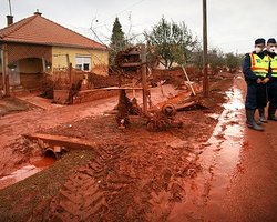 В Венгрии арестован директор аварийного завода