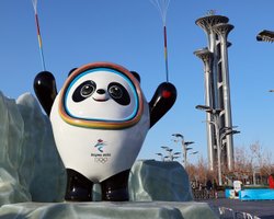 Олимпиада в Пекине и футбольный мундиаль: какие шансы у Украины