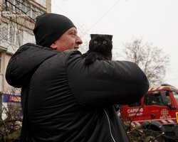 В Тернополе выросло количество спасенных из-под завалов: не только люди (фото, видео)