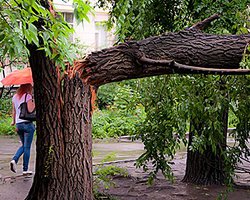 Луганск затопило: Пропадают свет, мобильная связь и Интернет