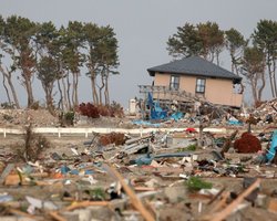 Население пострадавших от землетрясения районов Японии сократилось на 65 тыс. человек