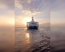 "Направляется в Босфор": из Одессы вышло еще одно судно — балкер Puma (фото, карта)