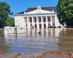 Біля затопленого БК плавають лебеді: який зараз вигляд має Нова Каховка (фото)