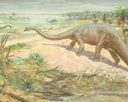 В Антарктике нашли останки родственников крупнейших динозавров