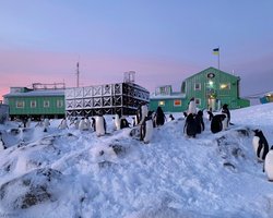 Від морських хвиль до озонової діри. Якими дослідженнями займаються українці в Антарктиді