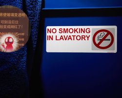 Предупреждения не помогают: зачем в туалетах торговых центров устанавливают прозрачные окна