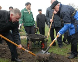 Азаров о подорожании овощей: не надо ныть, надо брать лопату 