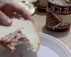 Солдатам РФ начали выдавать тушенку из собак, предназначенную для армии КНДР, — СМИ