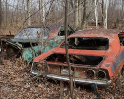 Кладовище раритетів: у США серед лісу виявили звалище зі старовинними авто (відео)