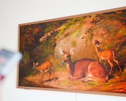 Достойный конкурент Samsung: более дешевый телевизор удивил во время тестирования (фото)