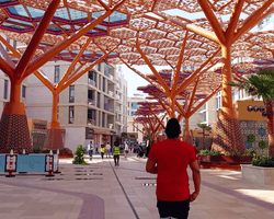 Рятує від спеки в +50: на елітній набережній штучного острова збудували "ліс-кондиціонер" (відео)