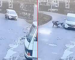 Хотели помочь мужчине, которого сбили, а он убежал: в ТЦК прокомментировали наезд на велосипедиста