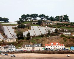 Зверское счастье. Репортаж с острова Джерси