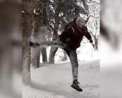 Чоловік вирішив перевірити дерево: сніг перевірив його у відповідь (відео)