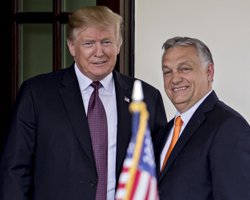 Выход из "тупика": Трамп убедил Орбана убрать препятствия для вступления Украины в ЕС, — СМИ