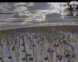 Friendly fire: солдат КНДР пытался сбить украинский дрон, но застрелил товарища (фото)