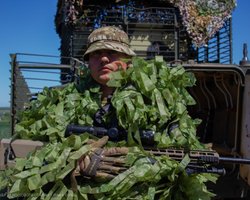 Осада агрегатного завода в Волчанске: почему ВСУ воздерживаются от штурма (карта)