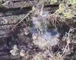 Бої за лівий берег Херсонщини: кримська СБУ допомогла морпіхам знищити ЗС РФ (відео)