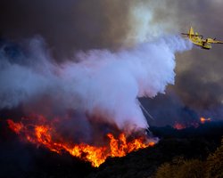 Канадский самолет, который тушил пожар в Лос-Анджелесе, столкнулся с дроном блогеров