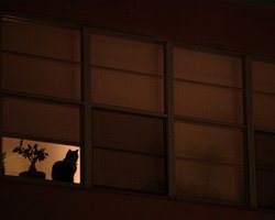 Китайцы резко нарастили инвестиции в недвижимость по всему миру