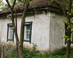 Українці купили найгіршу хату в селі: минуло 3 роки, – тепер її не впізнати (фото)