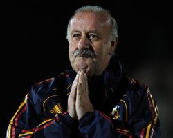 Дель Боске: Испания себя фаворитом не называла