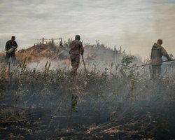 У позиций украинских военных на Донбассе произошел пожар, детонировали снаряды