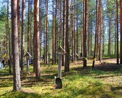 Красный Ренессанс. Как и за что известных украинцев расстреливали в Сандармохе в 1937 году