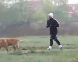 Власть приготовила фальсифицированное видео, где Тимошенко занимается физкультурой, - Власенко