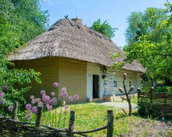 Моринцы на Черкащине. Что делать на малой родине Тараса Шевченко