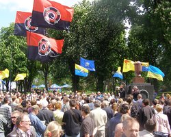 Сто человек продолжили День гнева у стен парламента