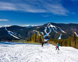 Зимняя олимпиада в Карпатах: в Украину едет делегация МОК